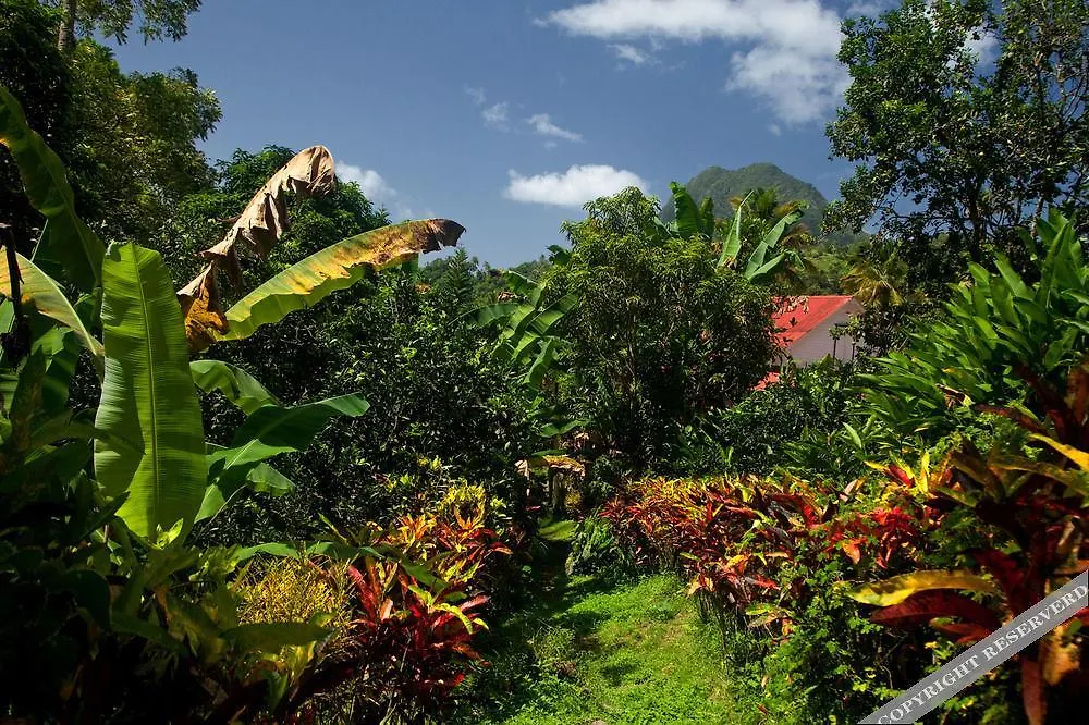 Soufrière La Dauphine Estateヴィラ 0*,