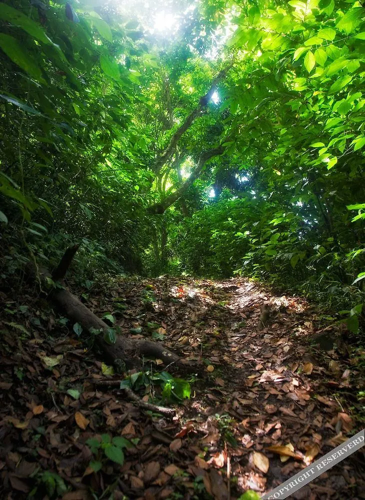 La Dauphine Estate Villa Soufriere Holiday home