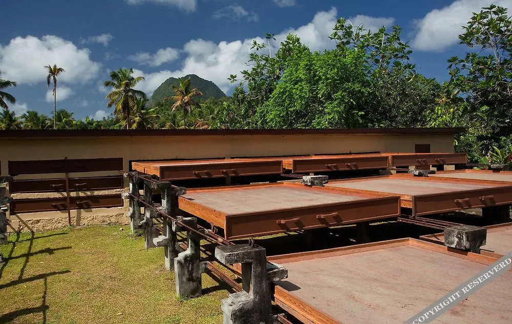 La Dauphine Estate Villa Soufriere